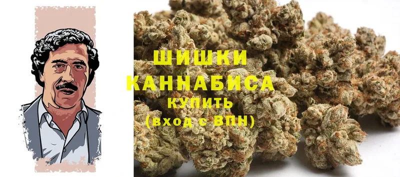 где найти   Краснозаводск  Конопля Bruce Banner 